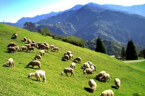 Wen Xin Yuan Homestay Puli Dış mekan fotoğraf